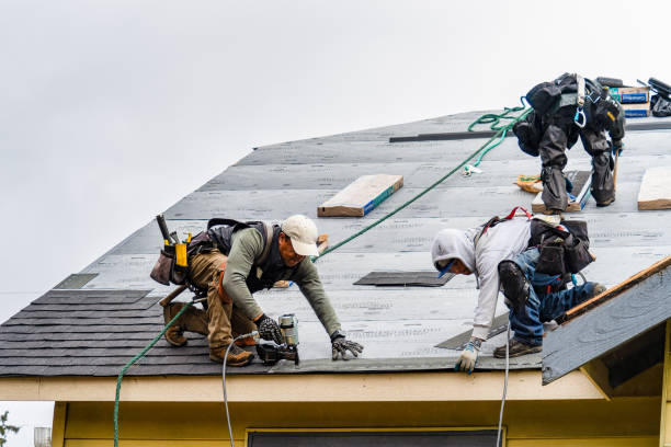 Professional Emergency Roof Repair technician working in Mauston, WI